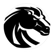 CM BRONCOS LOGO 1