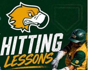 hitting lessons banner